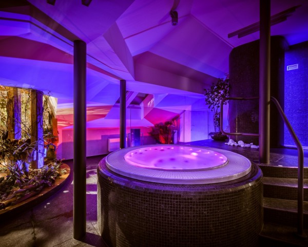 Theresian hotel & Spa - wellness a vířivky